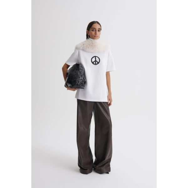 Scanlan Theodore top