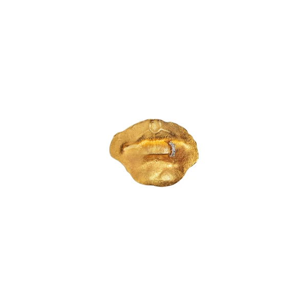 designer brooches & pins