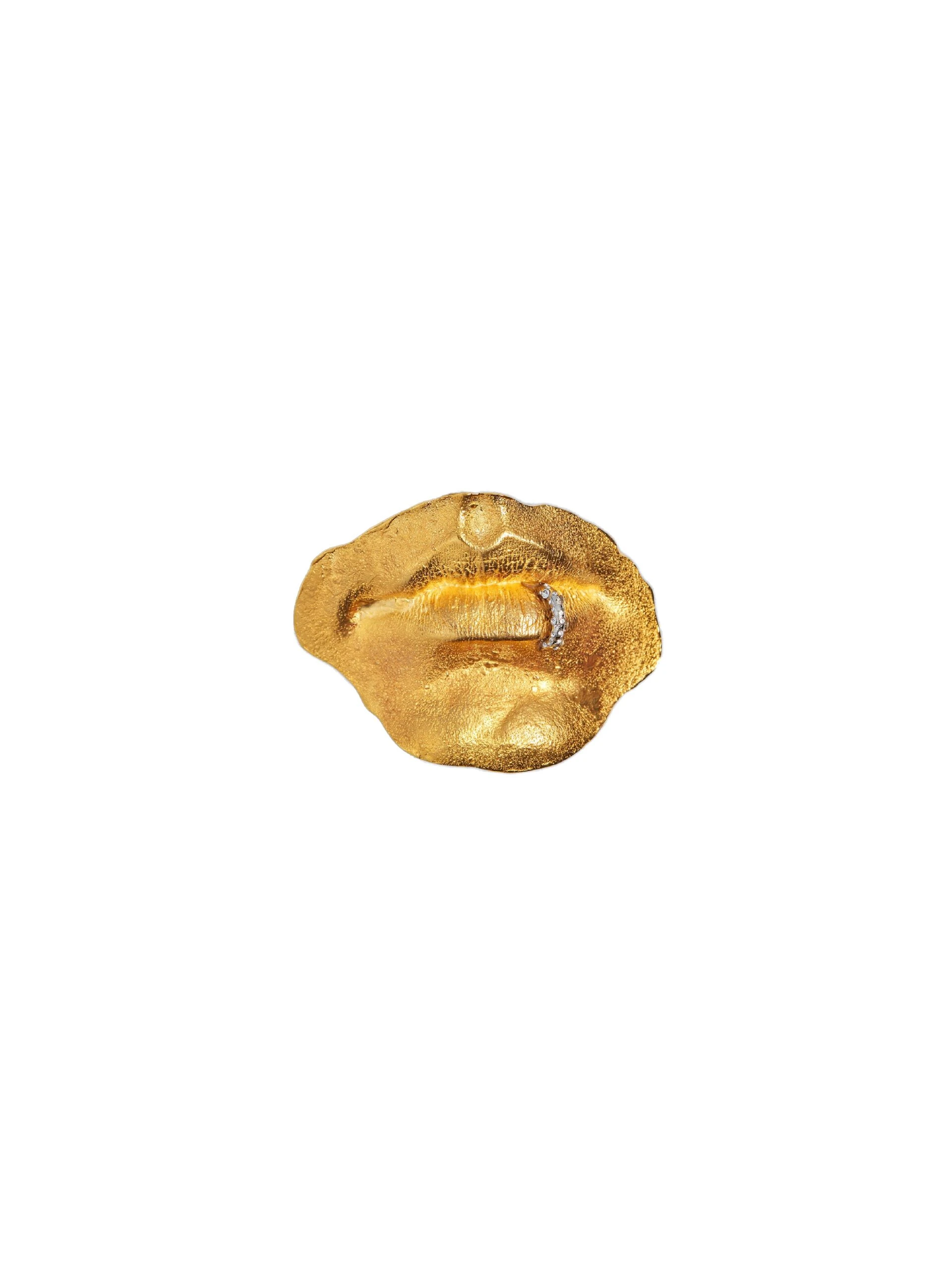 Pierced Mouth Brooch Schiaparelli Jewelry | Coveti designer brooches & pins