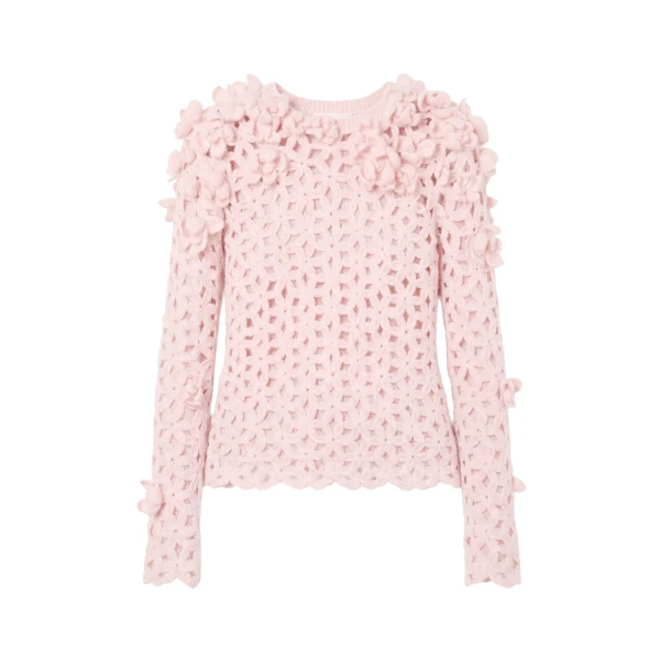 Bendetta Crochet Pullover with Embroidered Flowers in Powder