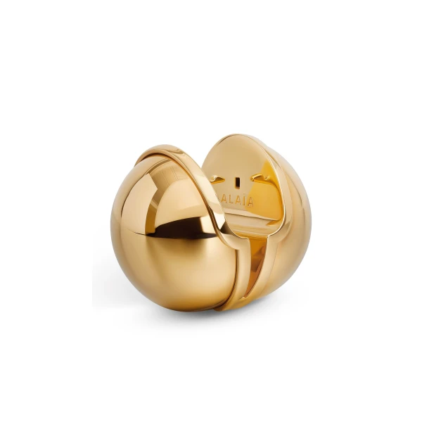 Alaia Sphere Earrings in Gold | Earrings | Coveti