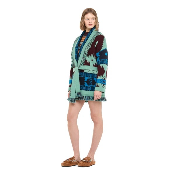 Alanui Icon Jacquard Cardigan in Vermouth and Lagoon