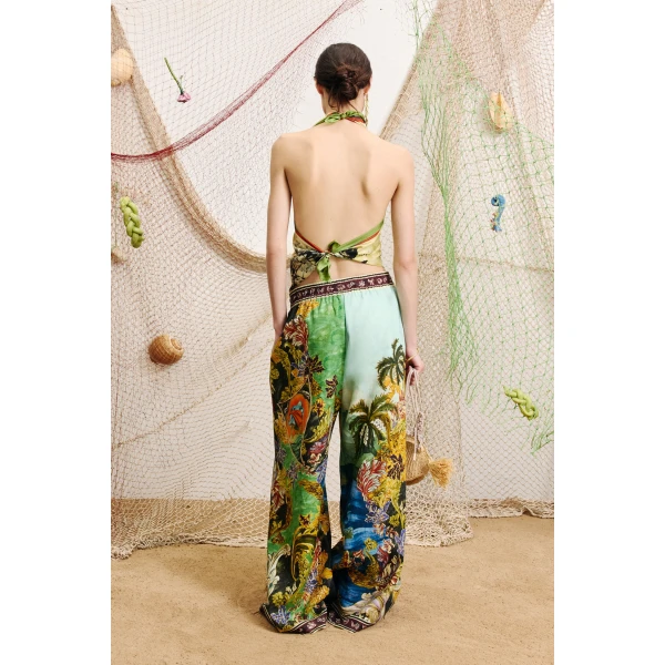 Alemais Lucena Pant