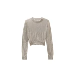 Alexander Wang Crystal Hotfix Pullover in Champagne | Coveti