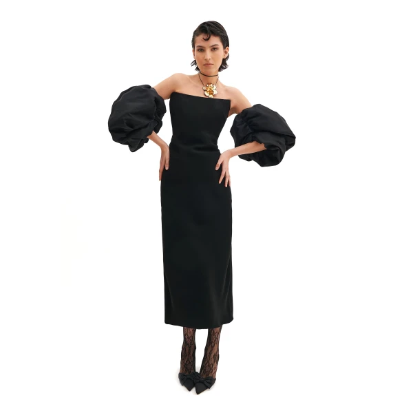 Corseted Tube Dress With Puffy Sleeves