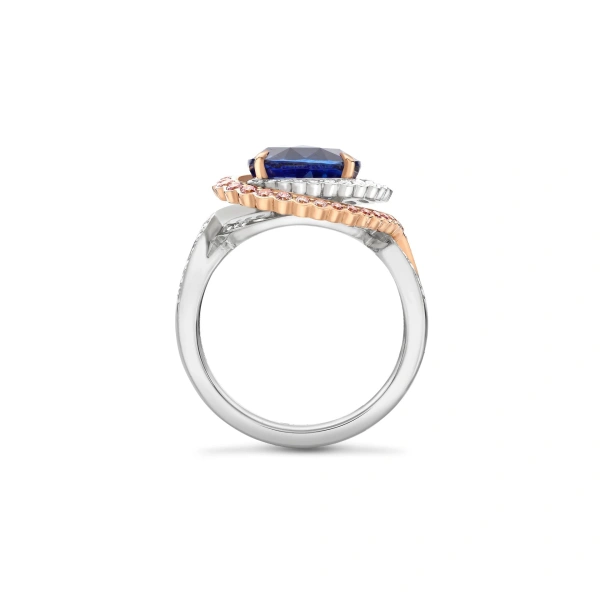 Boodles A Family Journey Monaco Oval Sapphire and Pink Diamond Ring | Fine Rings | Coveti