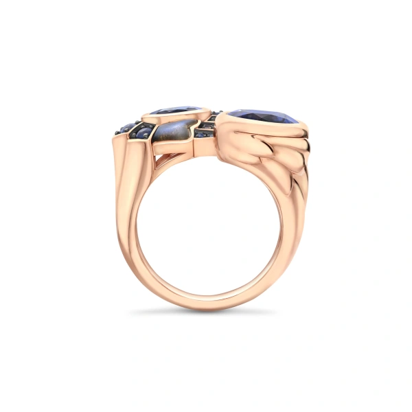 Boodles The Palace Collection Raven's Watch Gemini Sapphire Ring | Fine Rings | Coveti