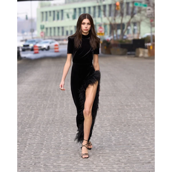 Bronx and Banco Velvet Maxi Dress with Feather Trim | Maxi Dresses | Coveti