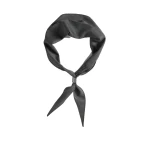 Brunello Cucinelli Organza necktie with monili in Dark Grey | Accessories | Coveti