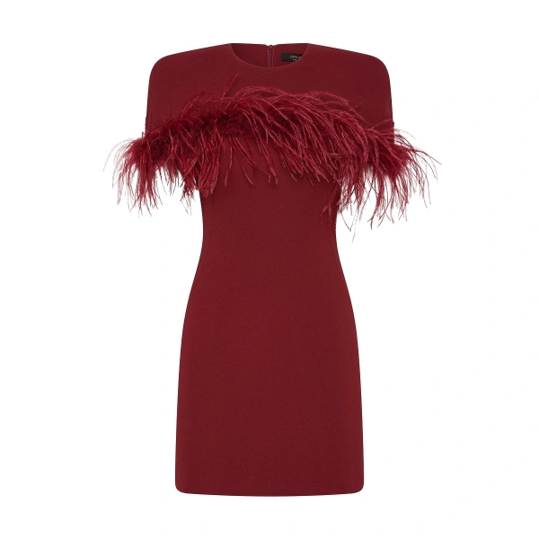 Cabernet Crepe Feather Detail Mini Cape Dress