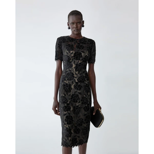 Carolina Herrera Velvet Rose Lace Knee-Length Dress in Black, view 4