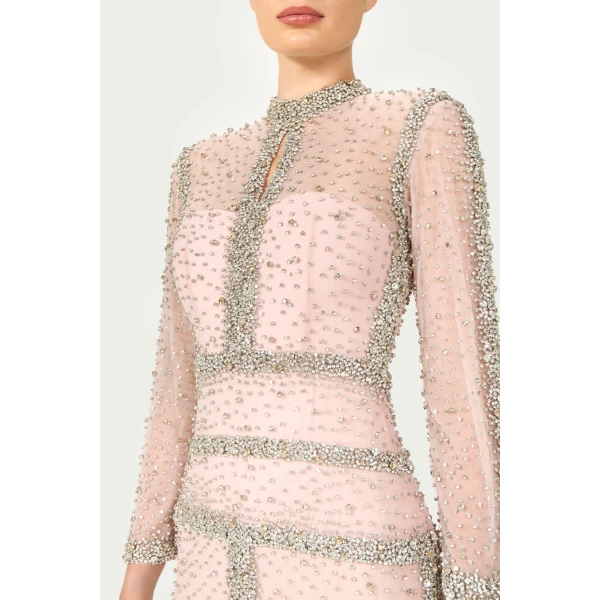 Costarellos Mellorie Embroidered Crystals Gown in Light Rose | Evening Gowns | Coveti