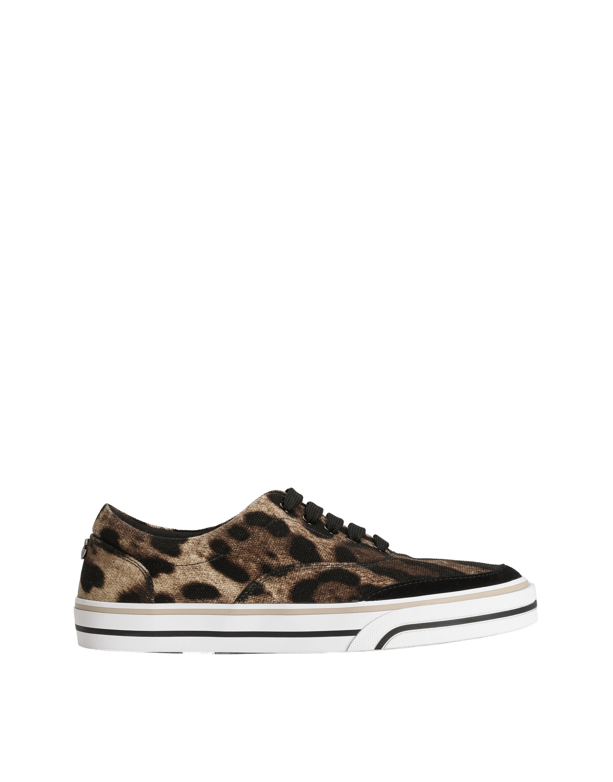 Dolce & Gabbana DG sailing sneakers in printed canvas