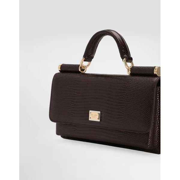 Bordeaux Dolce & Gabbana Iguana-print mini bag, view 6 | Wallets & Purses