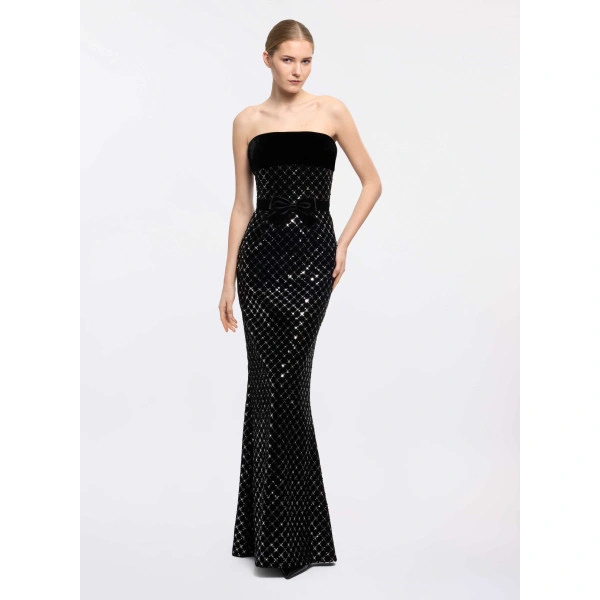 Elie Saab Embroidered Velvet Dress in Black | Maxi Dresses | Coveti