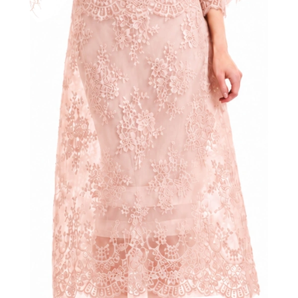 Gemy Maalouf Lace Cage Midi Skirt in Blush | Midi Skirts | Coveti, view 4