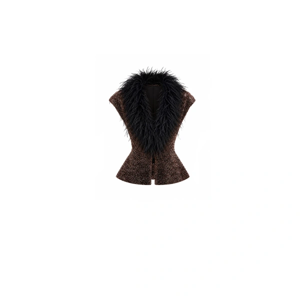 Sequined Feathered V-Neck Top