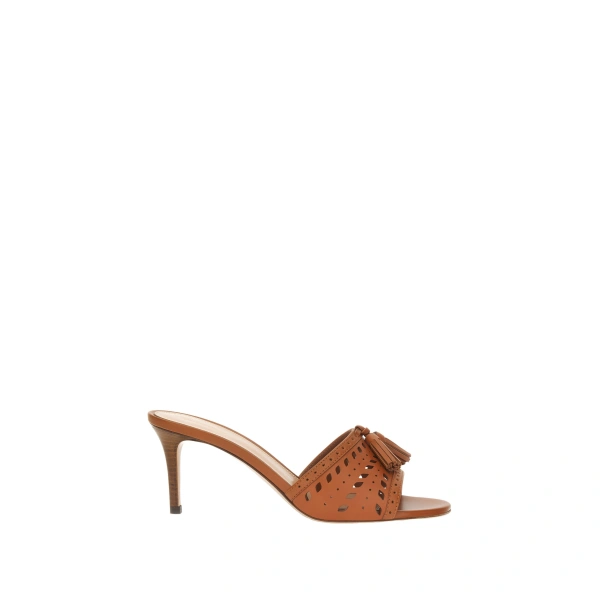 Fes Mules