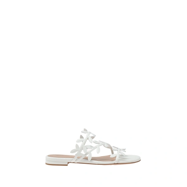 Flavia 05 Flats