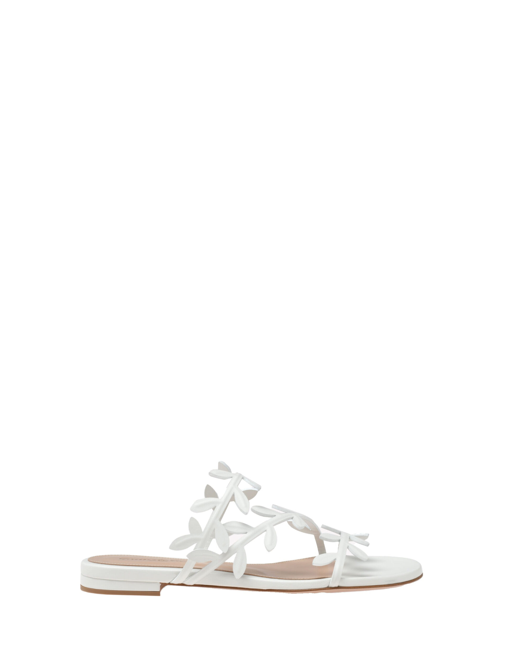 Gianvito Rossi Flavia 05 Flats