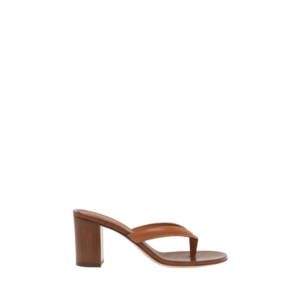 Gianvito Rossi Newport Thong Sandals in Brown Leather | Sandals