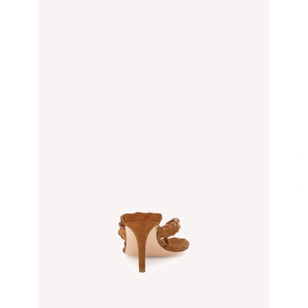 Gianvito Rossi Zaira Thong Sandals in Brown Suede, view 4 | Sandals