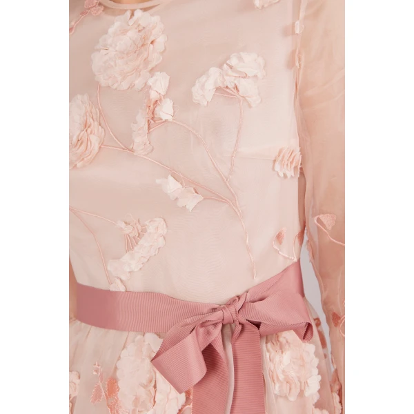 Huishan Zhang Delphi Gown in Pink Flower Embroidered Organza | Evening Gowns | Coveti