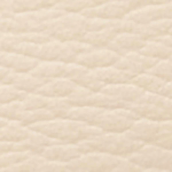 Isabel Marant Naoko Bag in Grained Leather, Light Beige | Shoulder & Crossbody Bags | Coveti