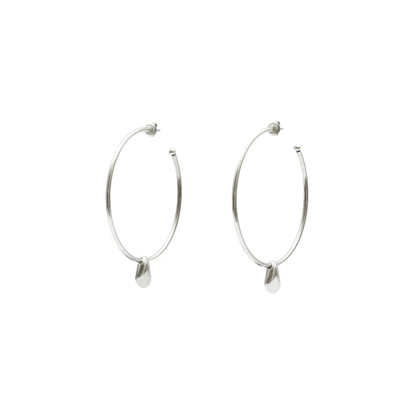 Shiny Day Earrings in Silver