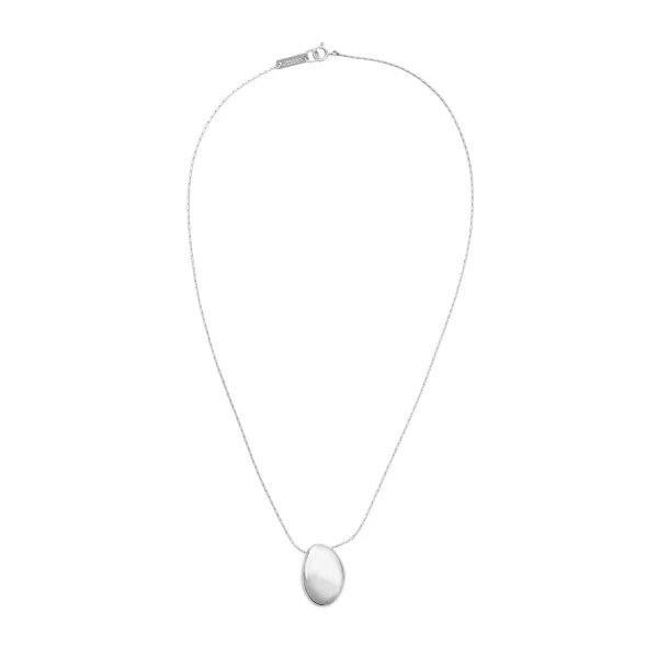 Shiny Day Necklace in Silver