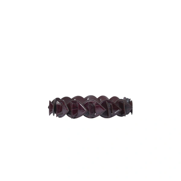 The Poisson Belt in Dark Burgundy