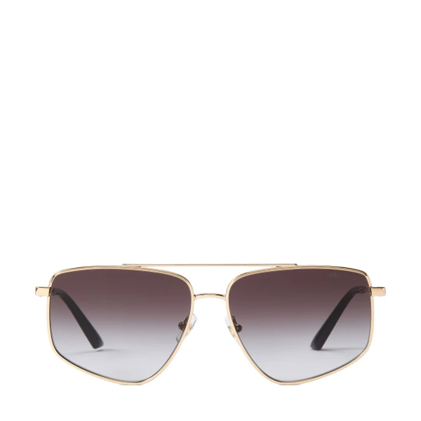 Metallic Jimmy Choo Alyssa Sunglasses | Sunglasses
