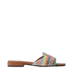 Multicolour Jimmy Choo Dina Flat | Flats