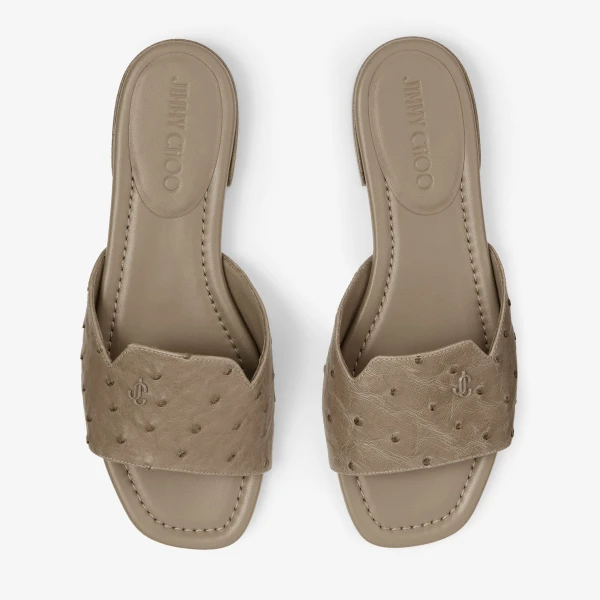 Taupe Jimmy Choo Dina Flat, view 5 | Flats