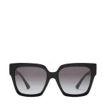 Black Jimmy Choo Eli Sunglasses | Sunglasses