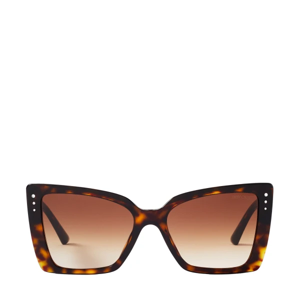 Beige Jimmy Choo Lorea Sunglasses | Sunglasses