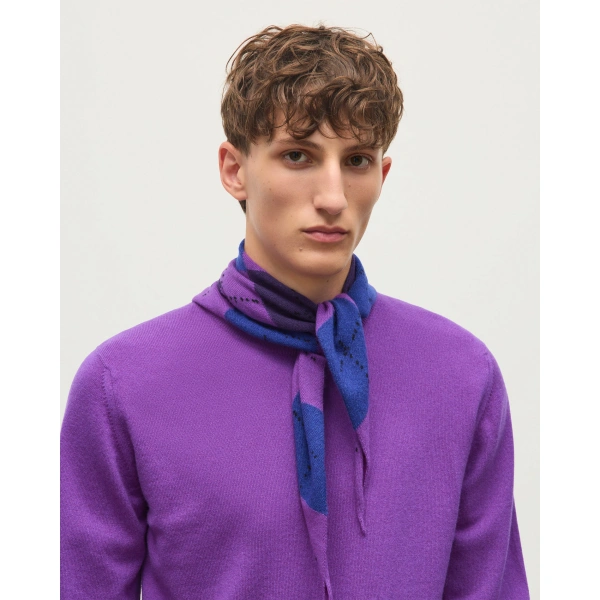Johnstons of Elgin Reuben Purple Cashmere Crew Jumper