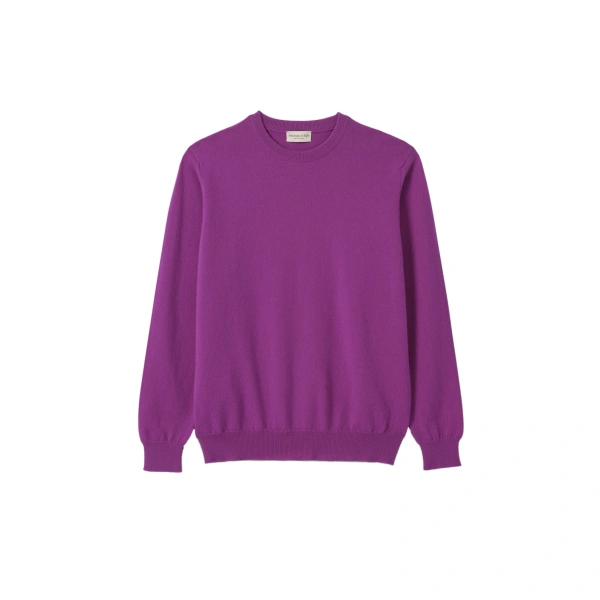 Johnstons of Elgin Reuben Purple Cashmere Crew Jumper | Men Knitwear | Coveti