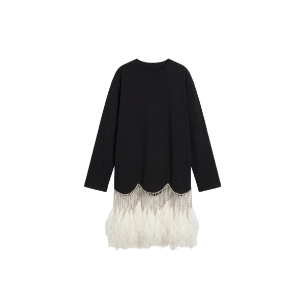 LOULOU Black Crystal Feather Long Sleeve Mini Dress | Mini Dresses | Coveti