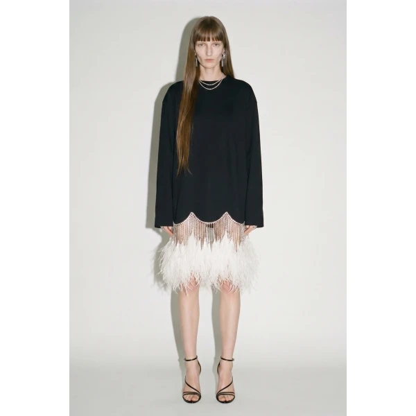 LOULOU Black Crystal Feather Long Sleeve Mini Dress | Mini Dresses | Coveti