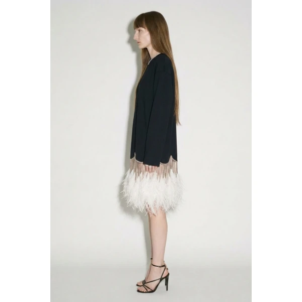 LOULOU Black Crystal Feather Long Sleeve Mini Dress | Mini Dresses | Coveti