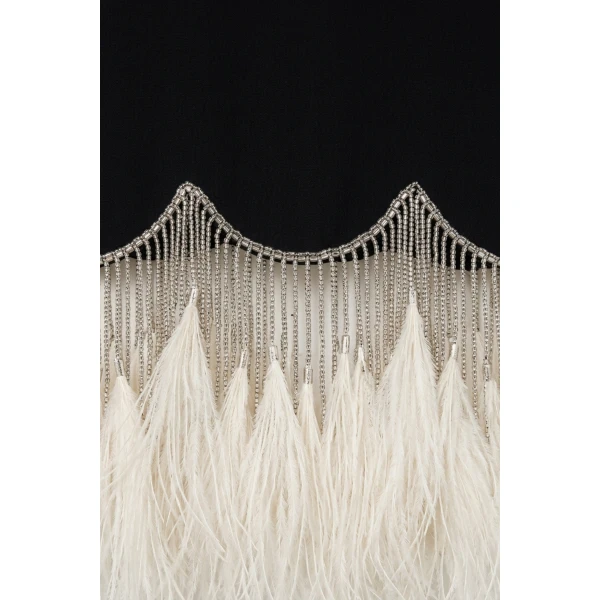LOULOU Black Crystal Feather Long Sleeve Mini Dress | Mini Dresses | Coveti