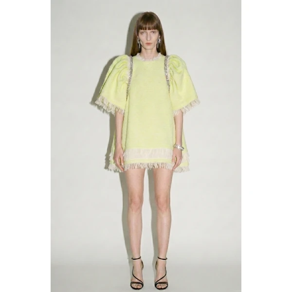 LOULOU Crystal Detailed Mini Dress | Mini Dresses | Coveti