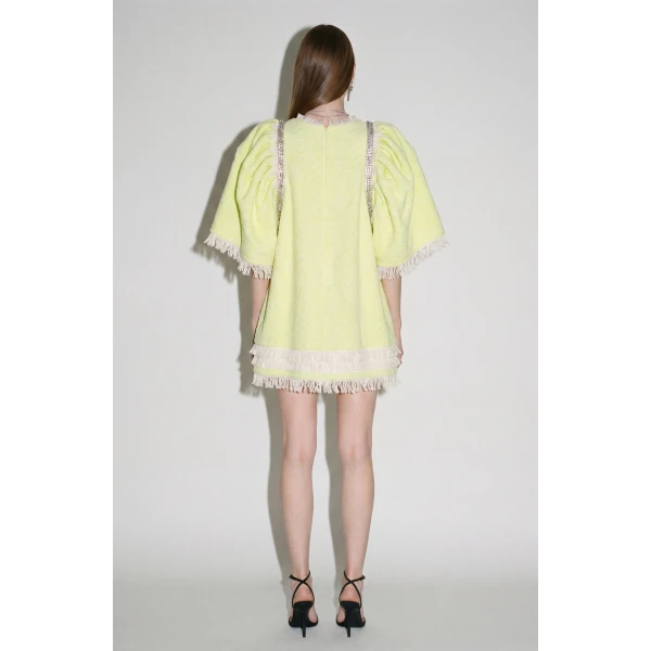 LOULOU Crystal Detailed Mini Dress | Mini Dresses | Coveti