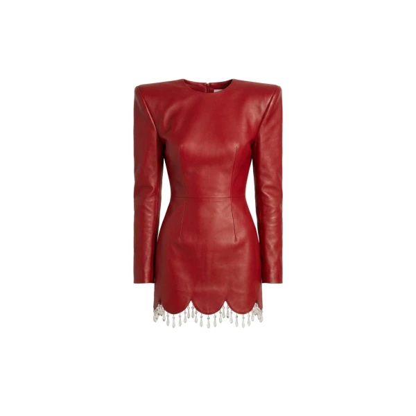 LOULOU Scarlet Leather Dress | Coveti