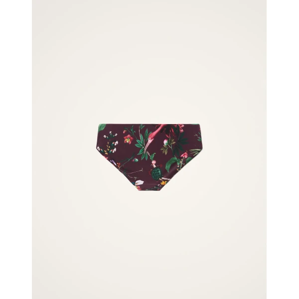 La DoubleJ Boy Brief in Zooflora Mini Burgundy | Bikini | Coveti