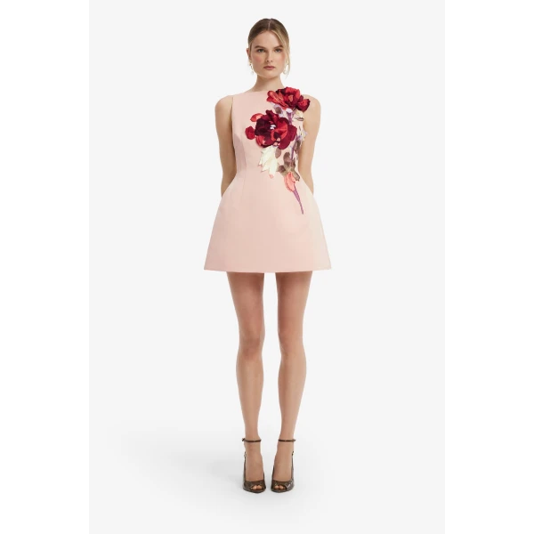 Ali Embroidered Boat Neck Mini Dress