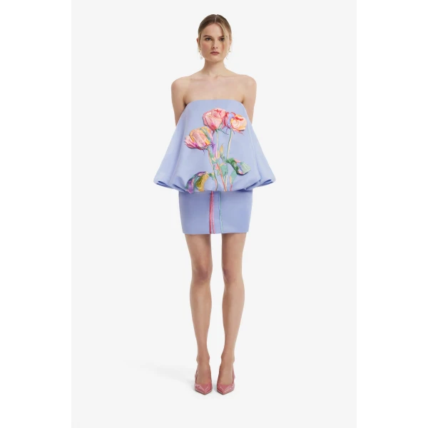 Eiza Embroidered Bustier Bubble Mini Dress