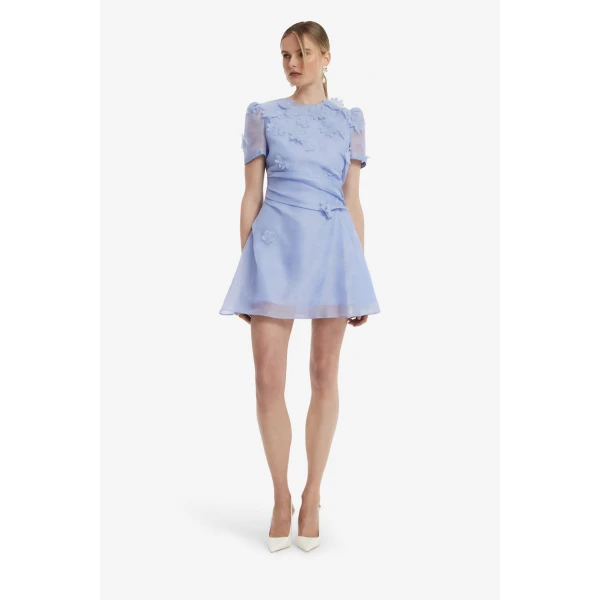 Periwinkle
