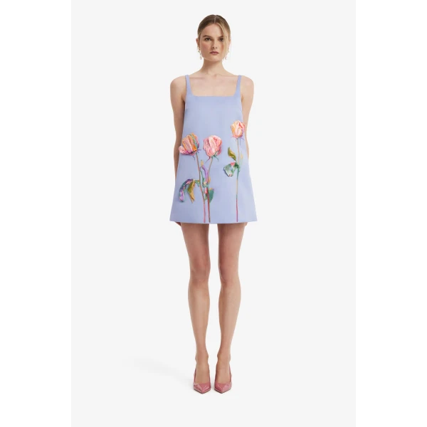 Mila Embroidered Mini Dress